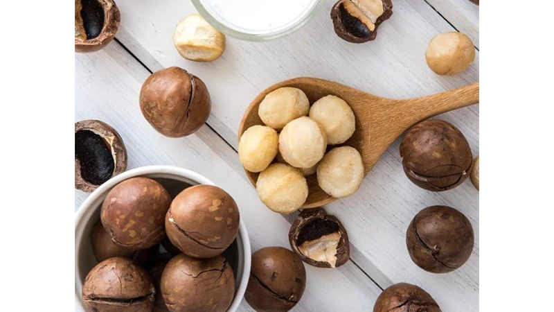 خواص ماکادمیا برای سیستم گوارش