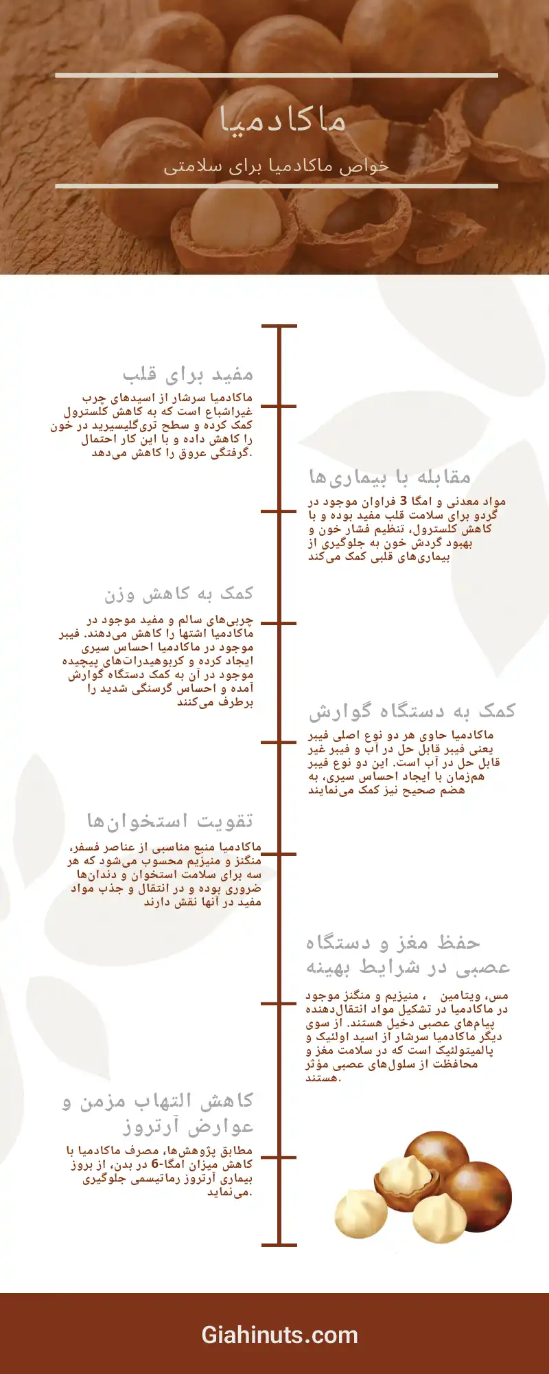 اینفوگرافیک ماکادمیا