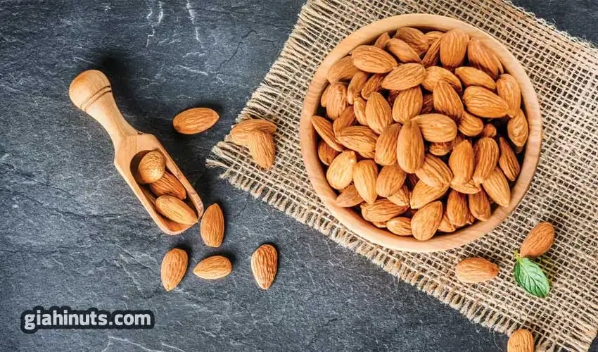 معرفی انواع بادام از زمینی تا درختی | %100 کاربردی 6 بادام آمریکایی