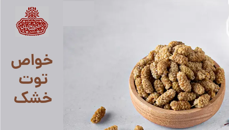 خواص توت خشک