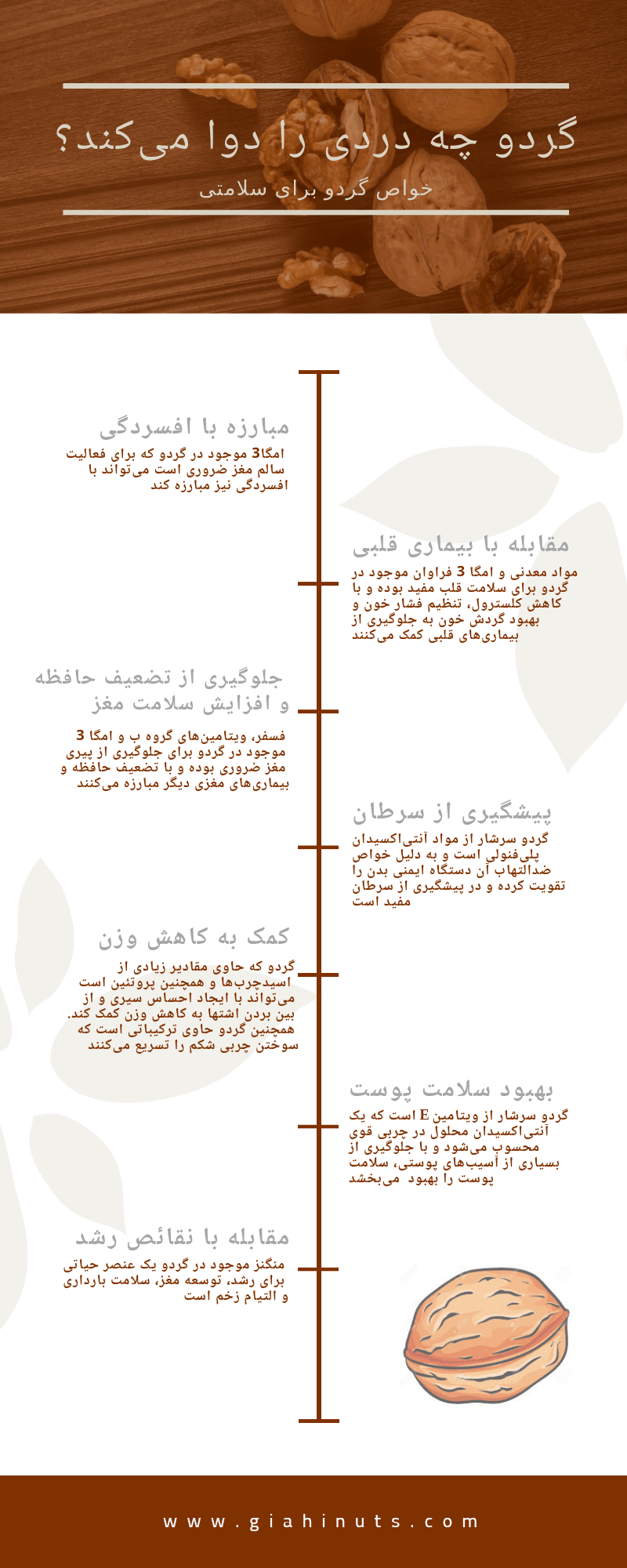 همه چیز راجع به خواص گردو | +۱۰ خواص گردو که باید بدانید 7 خواص گردو برای سلامتی