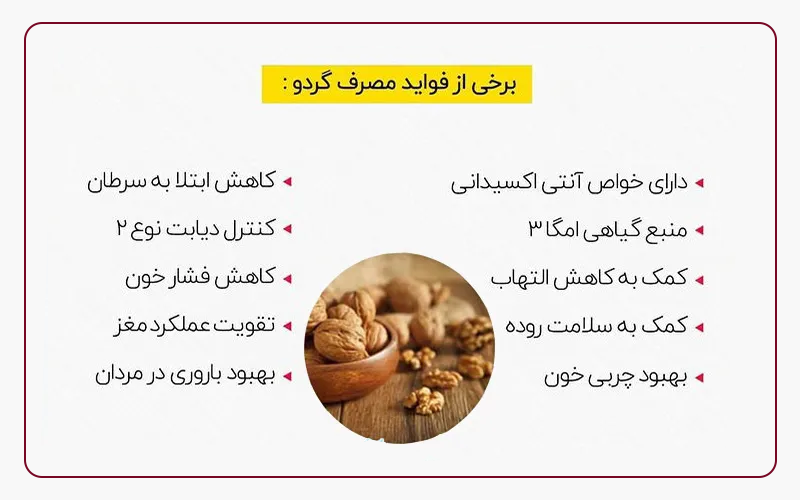 همه چیز راجع به خواص گردو | +۱۰ خواص گردو که باید بدانید 1 خواص گردو برای مردان